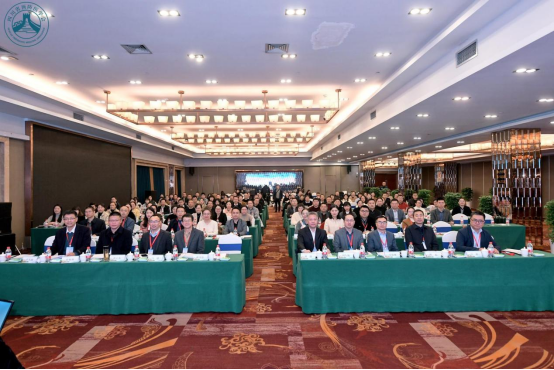 1701397489132133.png image.png